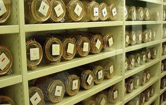 安裝500平米科研種子冷庫費用是多少？