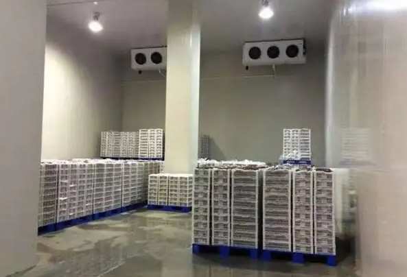 投資建一個(gè)龍蝦冷凍庫(kù)要多少錢