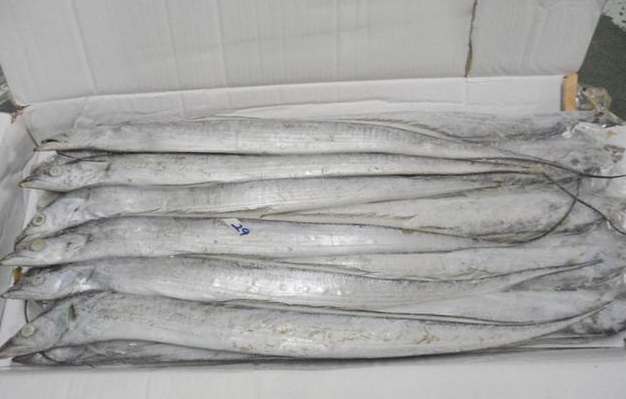 50平米帶魚冷庫(kù)安裝價(jià)格多少錢