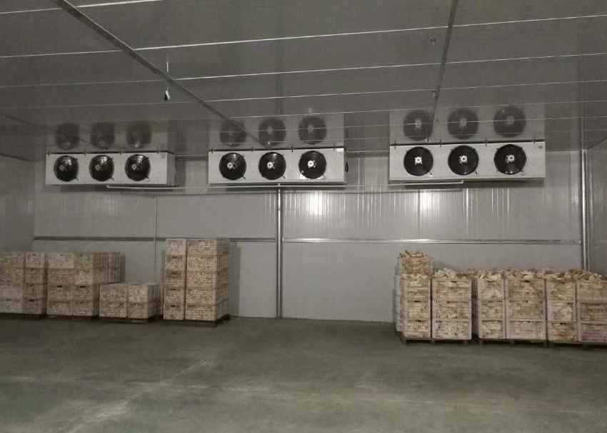 零下60度速凍冷庫安裝價(jià)格多少錢