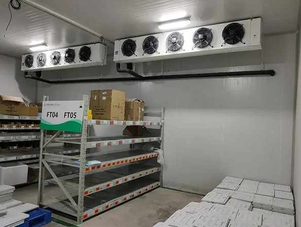搭建大型保鮮冷庫(kù)建造多少錢(qián)