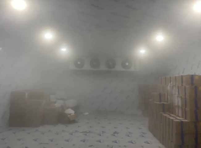 建立一個冷庫有多少錢