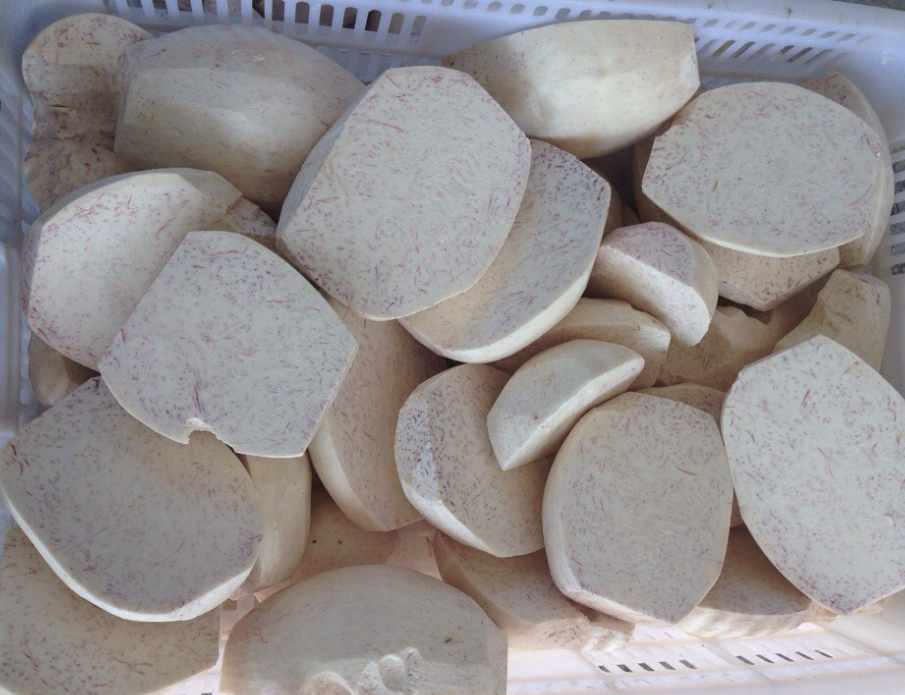 芋頭速凍冷庫可以存儲多久？