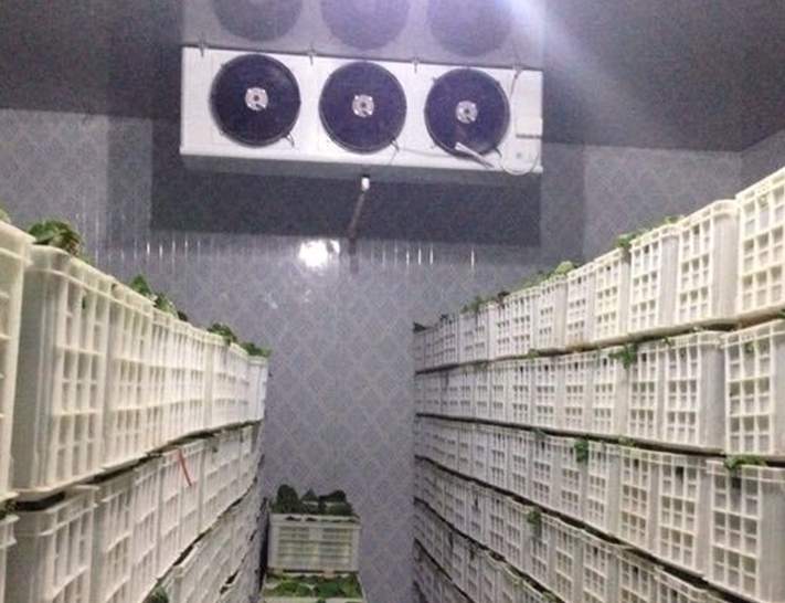 建造200平米冷庫(kù)投資多少錢(qián)