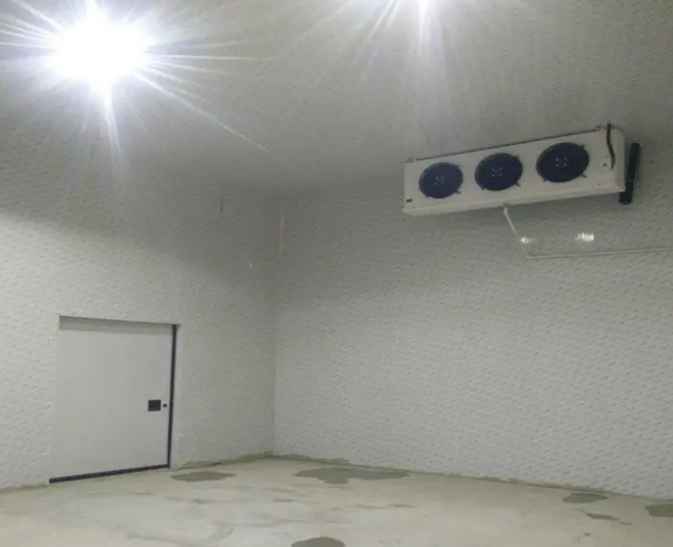 夏天建一個(gè)100平米雪糕冷庫要多少錢