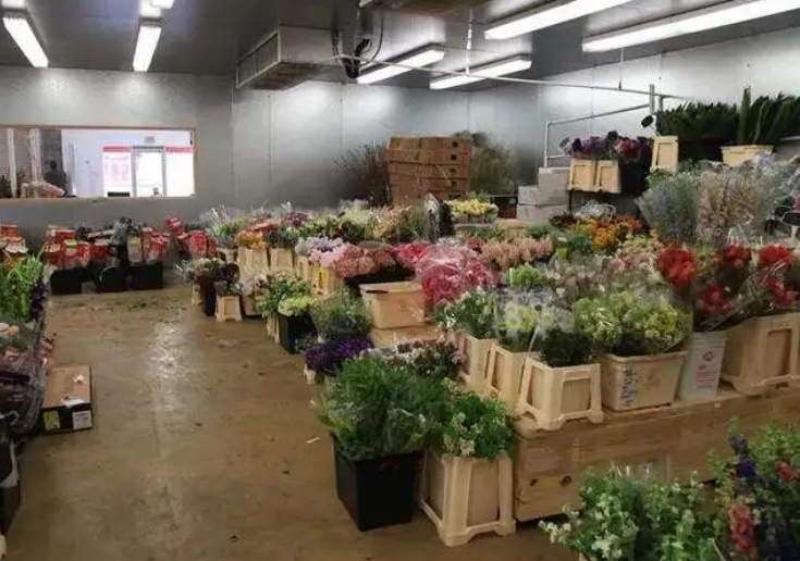 不同種類的鮮花對(duì)冷庫溫度的要求一樣嗎？